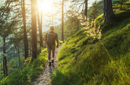 Man hiking in woods